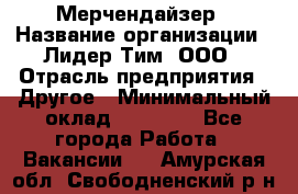 Мерчендайзер › Название организации ­ Лидер Тим, ООО › Отрасль предприятия ­ Другое › Минимальный оклад ­ 27 000 - Все города Работа » Вакансии   . Амурская обл.,Свободненский р-н